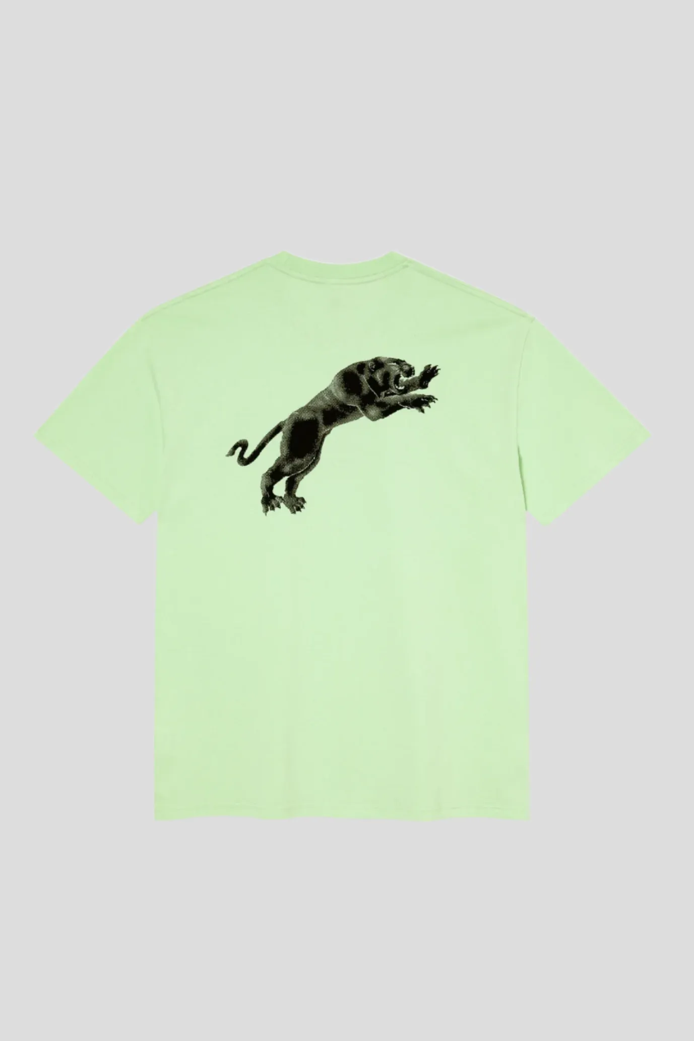 POLAR SKATE TAPE & PANTHER TEE - MINT GREEN
