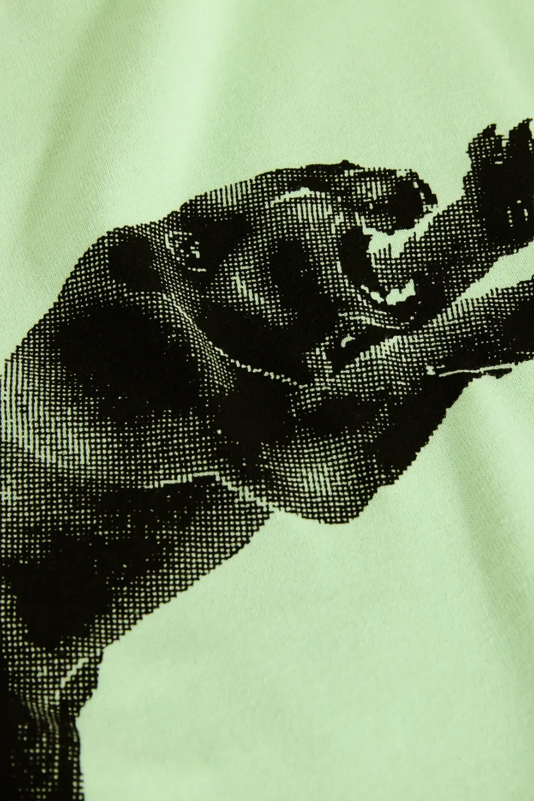 POLAR SKATE TAPE & PANTHER TEE - MINT GREEN